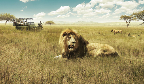 ทวีปแอฟริกา (Africa)