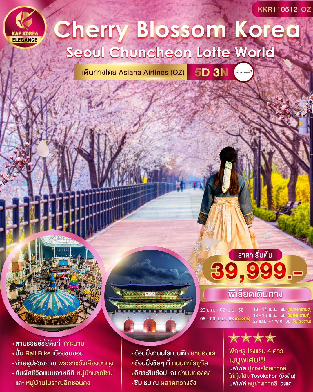 Cherry Blossom Korea 