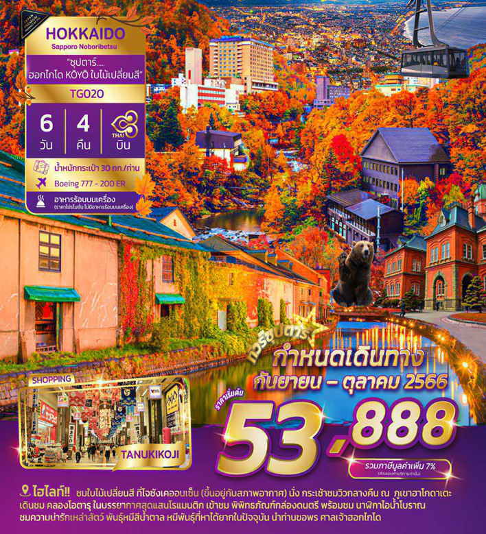HOKKAIDO SAPPORO NOBORIBETSU JOZANKEI 6DAYS 4NIGHTS BY TG