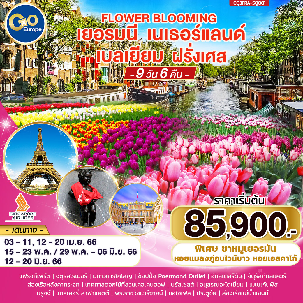 FLOWER BLOOMING