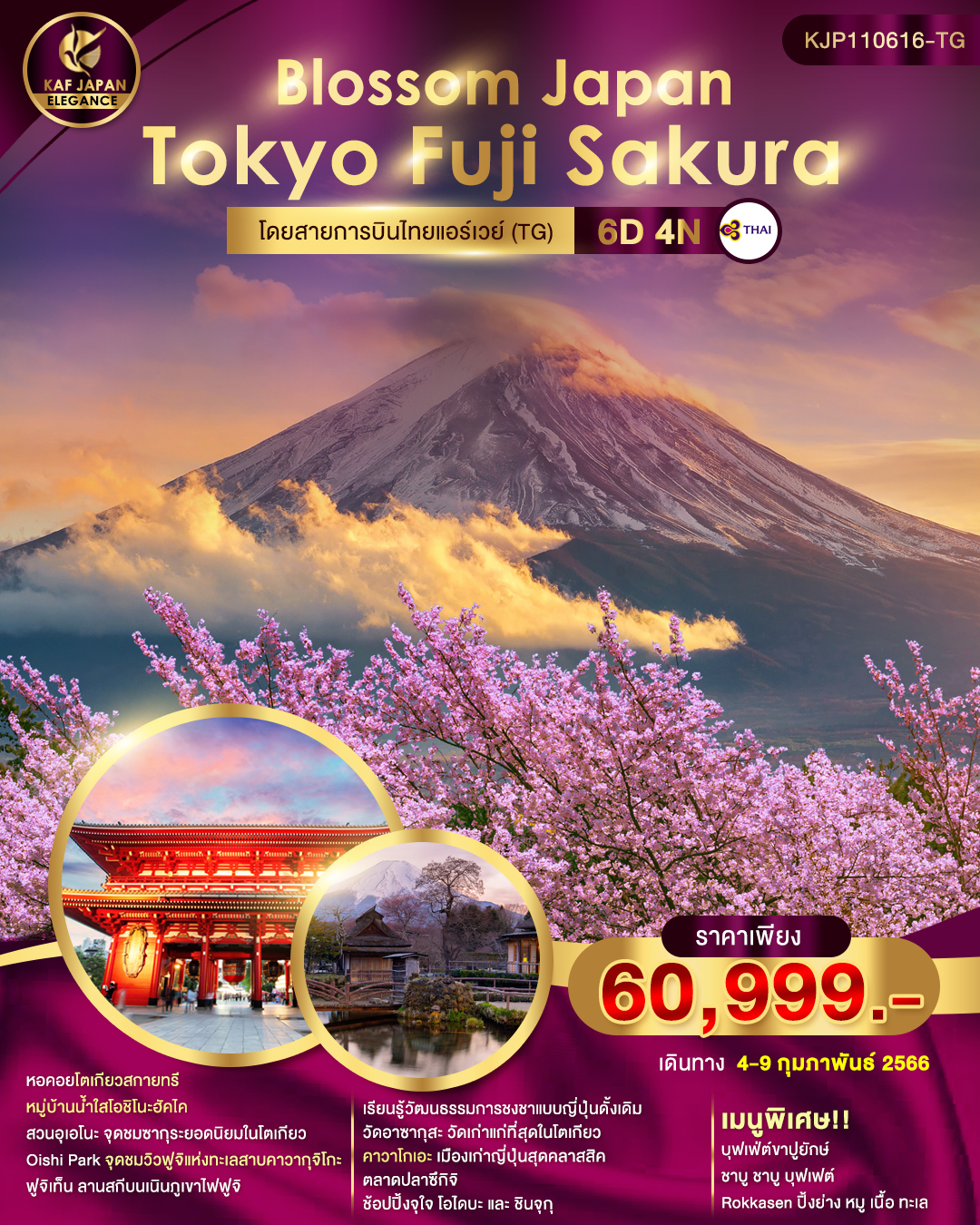  Blossom Japan Tokyo Fuji Sakura