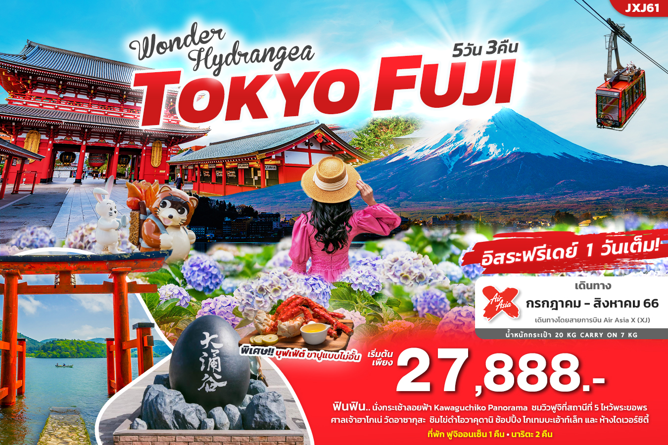 WONDER Hydrangea TOKYO FUJI โตเกียว-ฟูจิ ทัวร์ญี่ปุ่นน 5วัน3คืน
