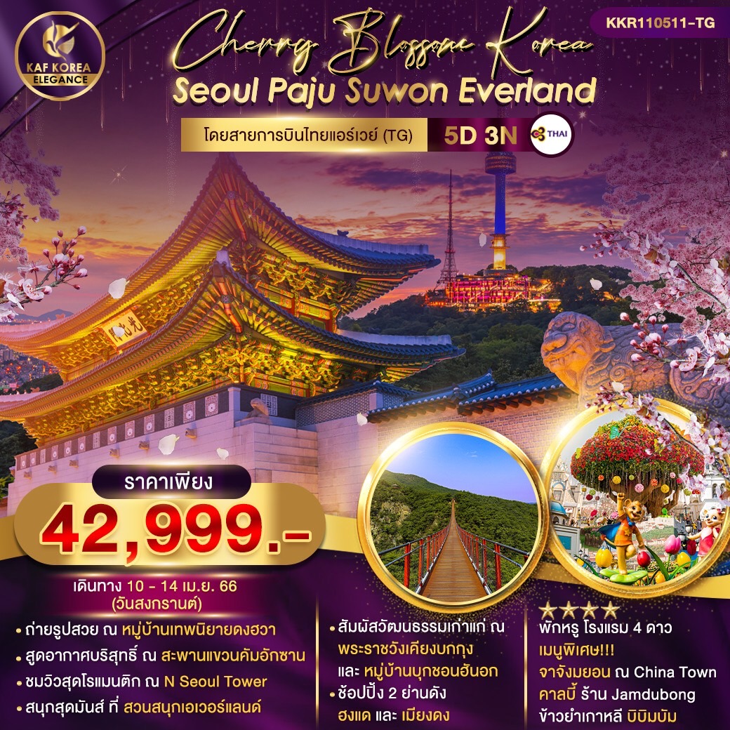 Cherry Blossom Korea