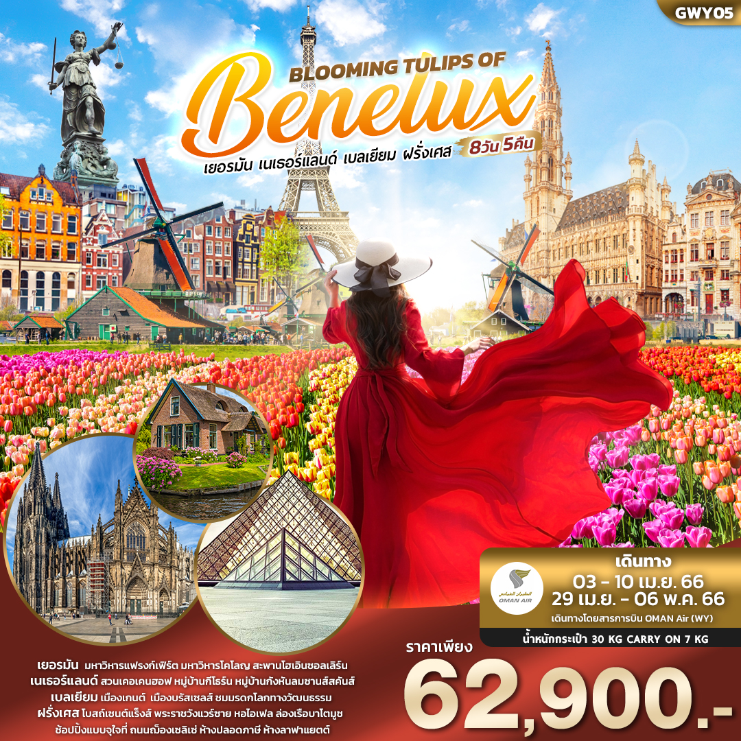 BLOOMING TULIPS OF BENELUX