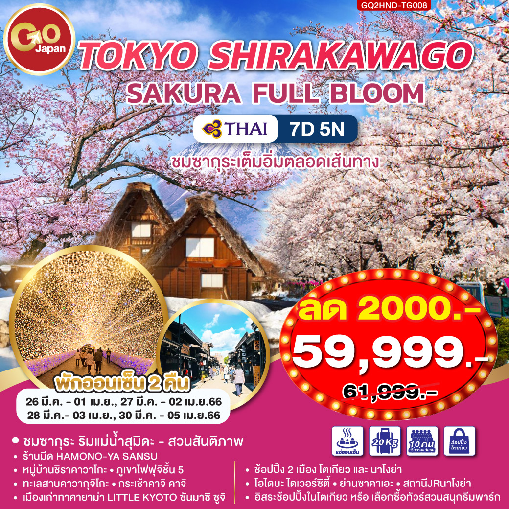 TOKYO SHIRAKAWAGO SAKURA FULL BLOOM