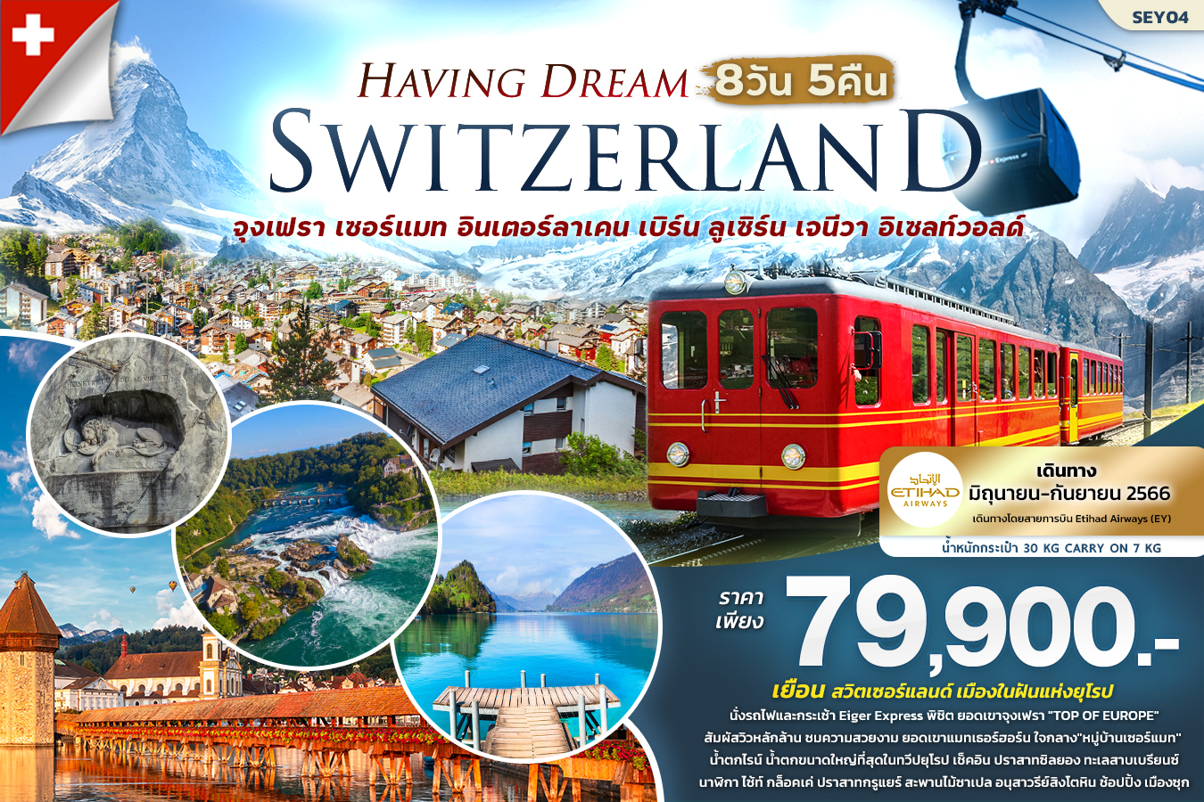 HAVING DREAM SWITZERLAND 8วัน5คืน
